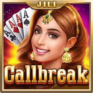 Online Poker Provider